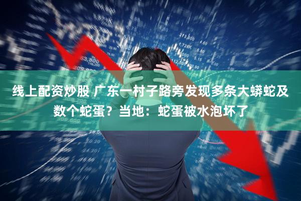 线上配资炒股 广东一村子路旁发现多条大蟒蛇及数个蛇蛋？当地：蛇蛋被水泡坏了