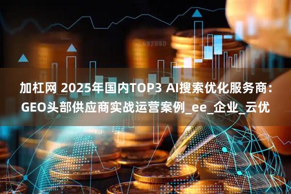 加杠网 2025年国内TOP3 AI搜索优化服务商：GEO头部供应商实战运营案例_ee_企业_云优
