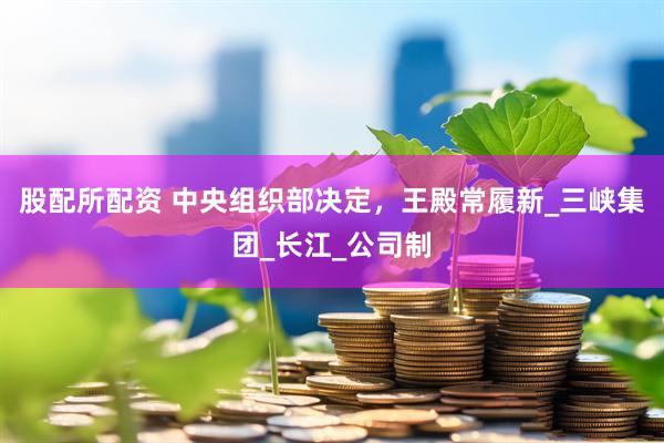 股配所配资 中央组织部决定，王殿常履新_三峡集团_长江_公司制