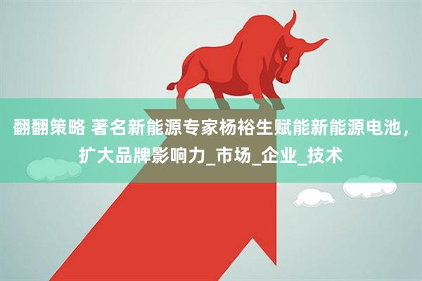 翻翻策略 著名新能源专家杨裕生赋能新能源电池，扩大品牌影响力_市场_企业_技术