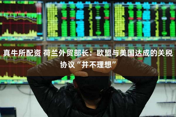 真牛所配资 荷兰外贸部长：欧盟与美国达成的关税协议“并不理想”