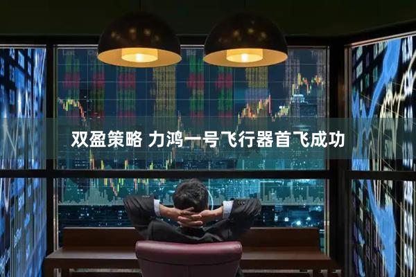 双盈策略 力鸿一号飞行器首飞成功